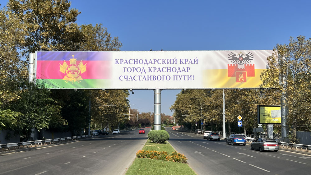 Портфолио