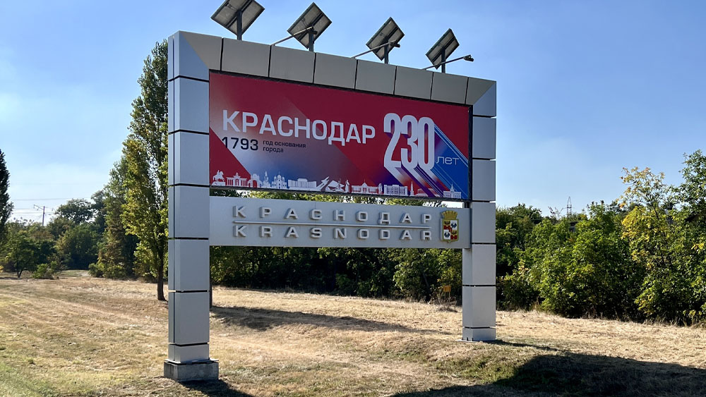 Портфолио